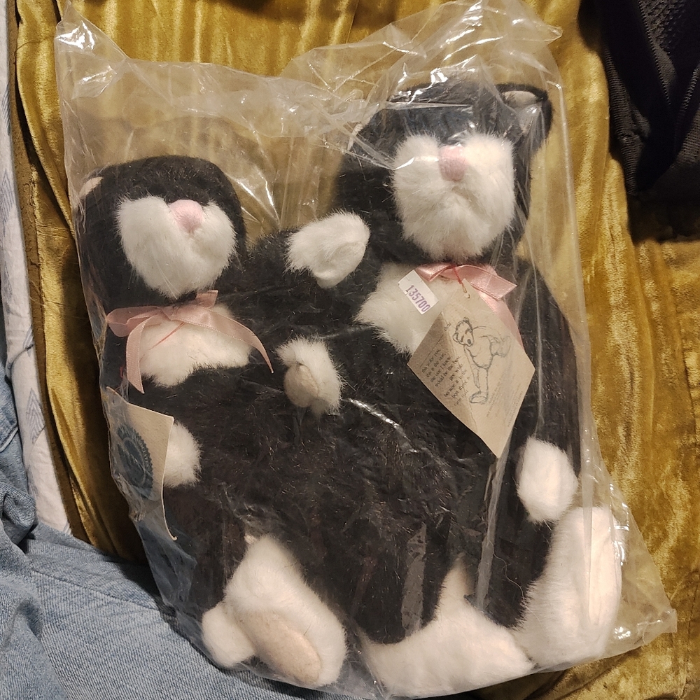 Jbean Cats